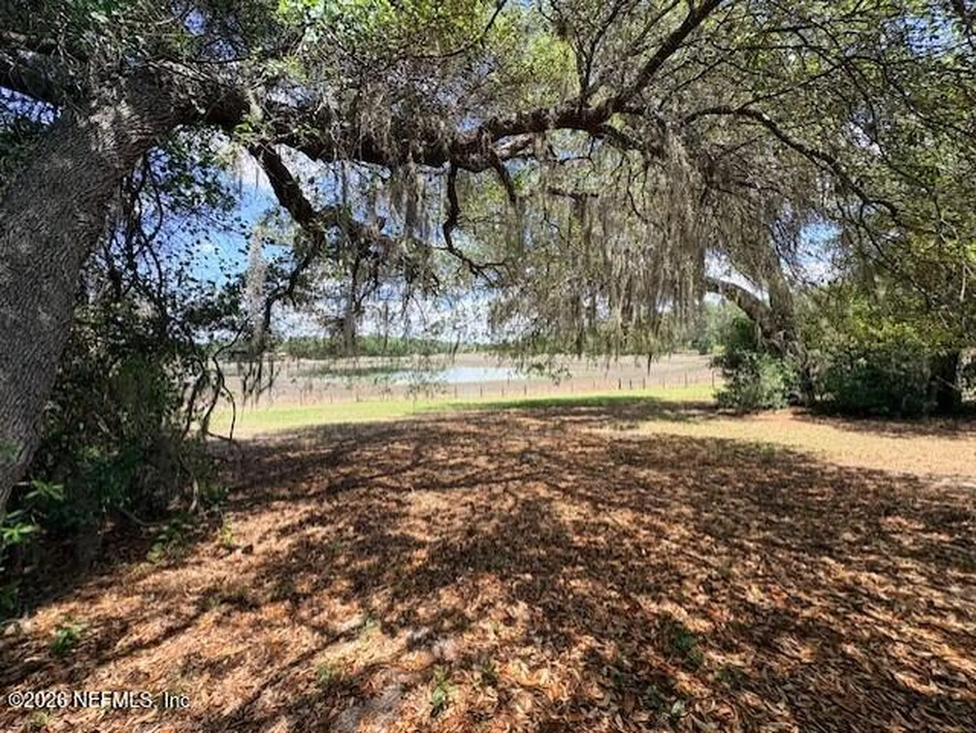 240 Swan Lake Drive Melrose FL 32666