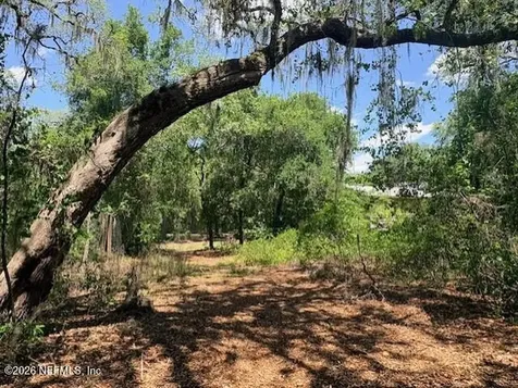 240 Swan Lake Drive Melrose FL 32666