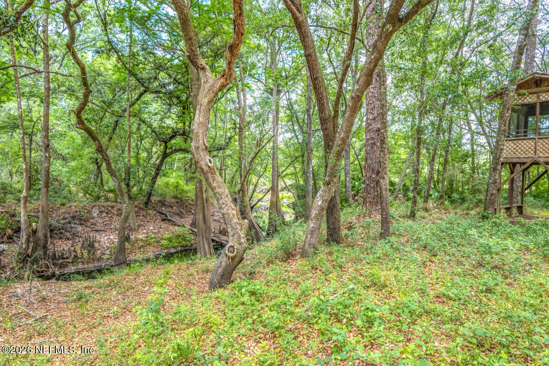 6793 Sandsdale Road Macclenny FL 32063