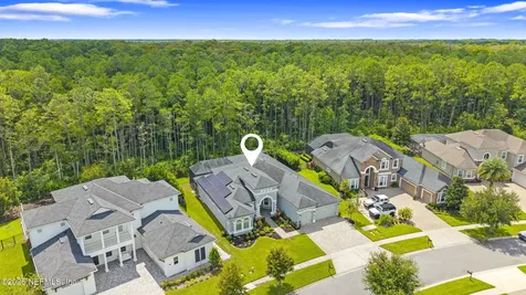 243 Old Bluff Drive Ponte Vedra FL 32081
