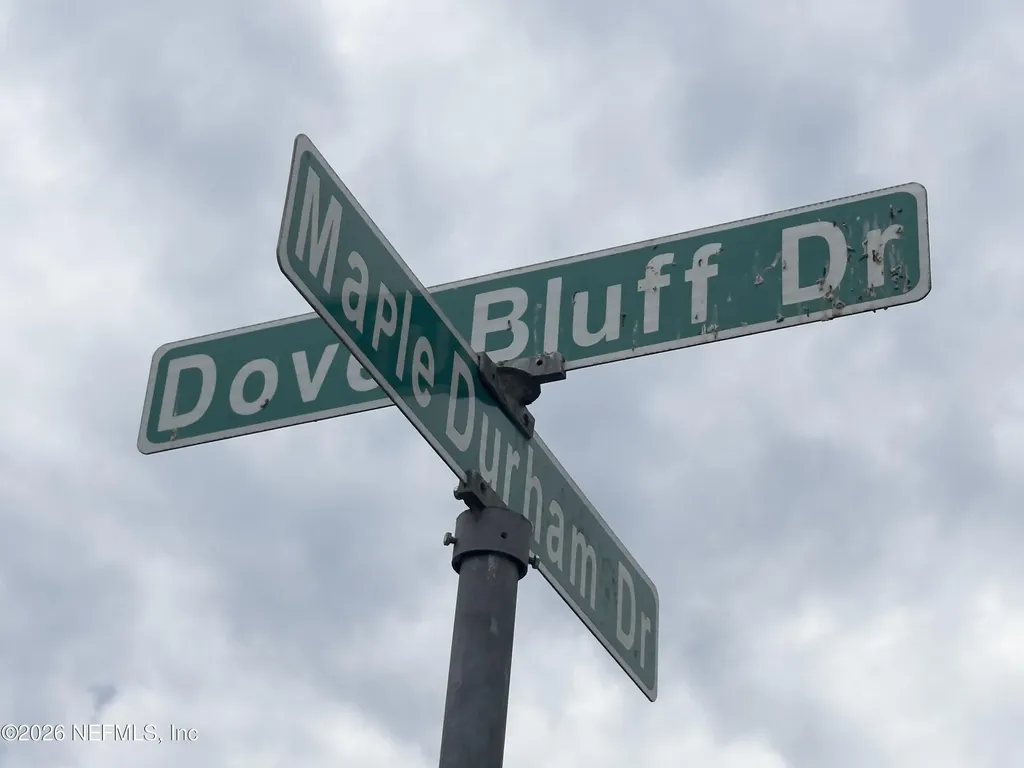 248 Dover Bluff Drive Orange Park FL 32073