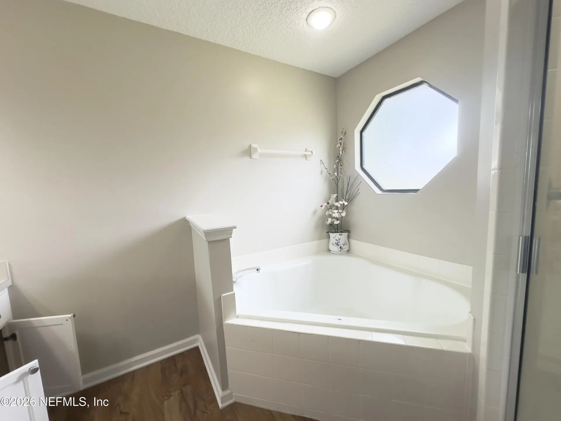248 Dover Bluff Drive Orange Park FL 32073