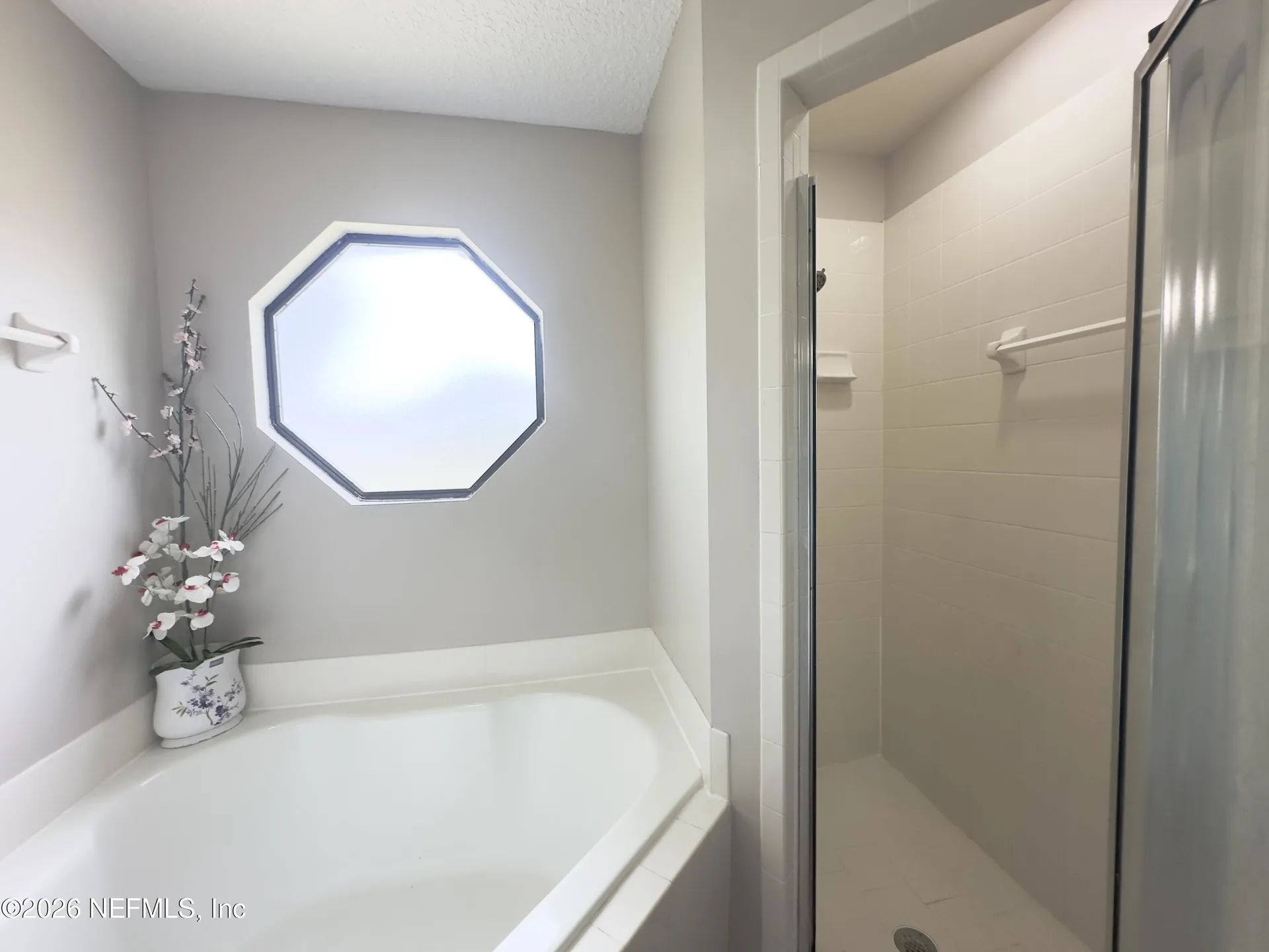 248 Dover Bluff Drive Orange Park FL 32073