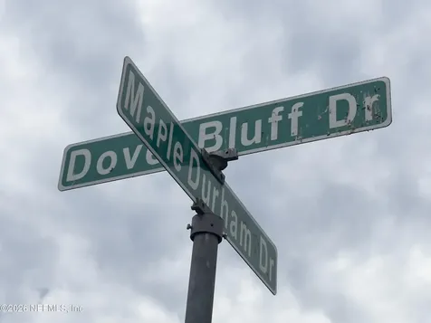 248 Dover Bluff Drive Orange Park FL 32073