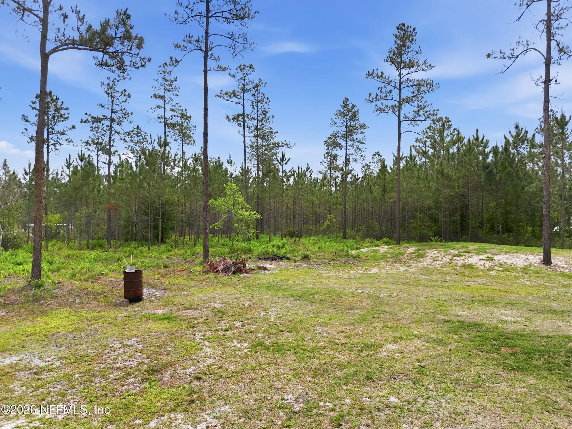2626 Will Elledge Road Glen St. Mary FL 32040