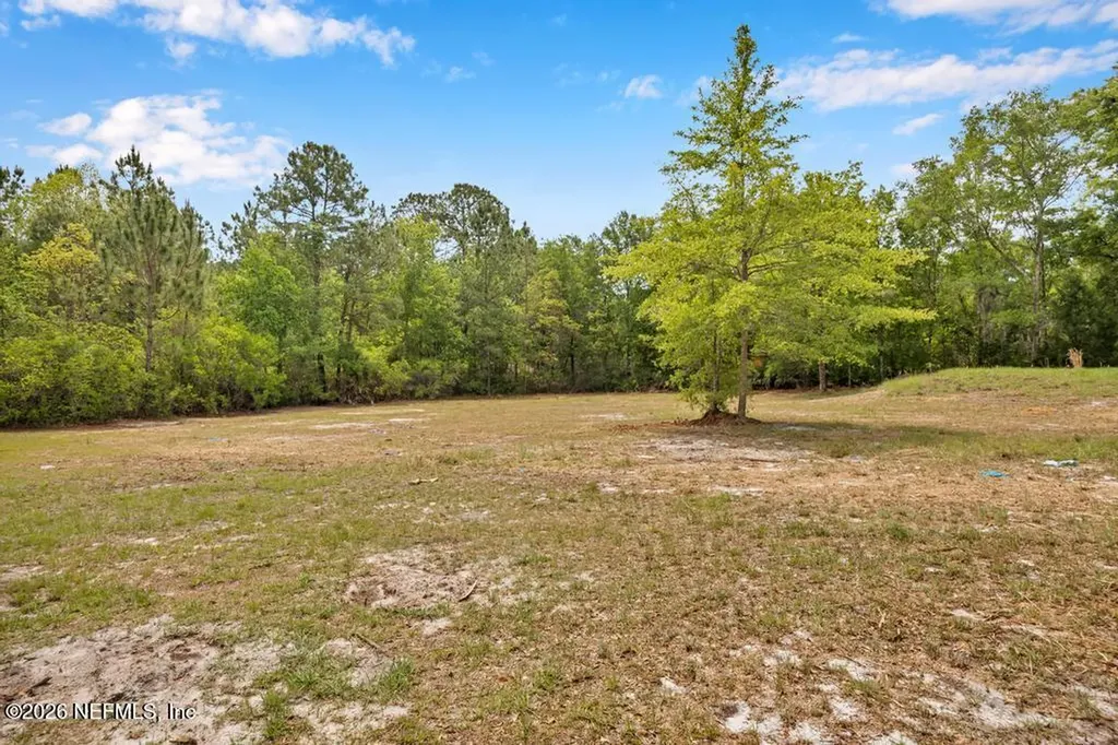 13 Tulip Court Middleburg FL 32068
