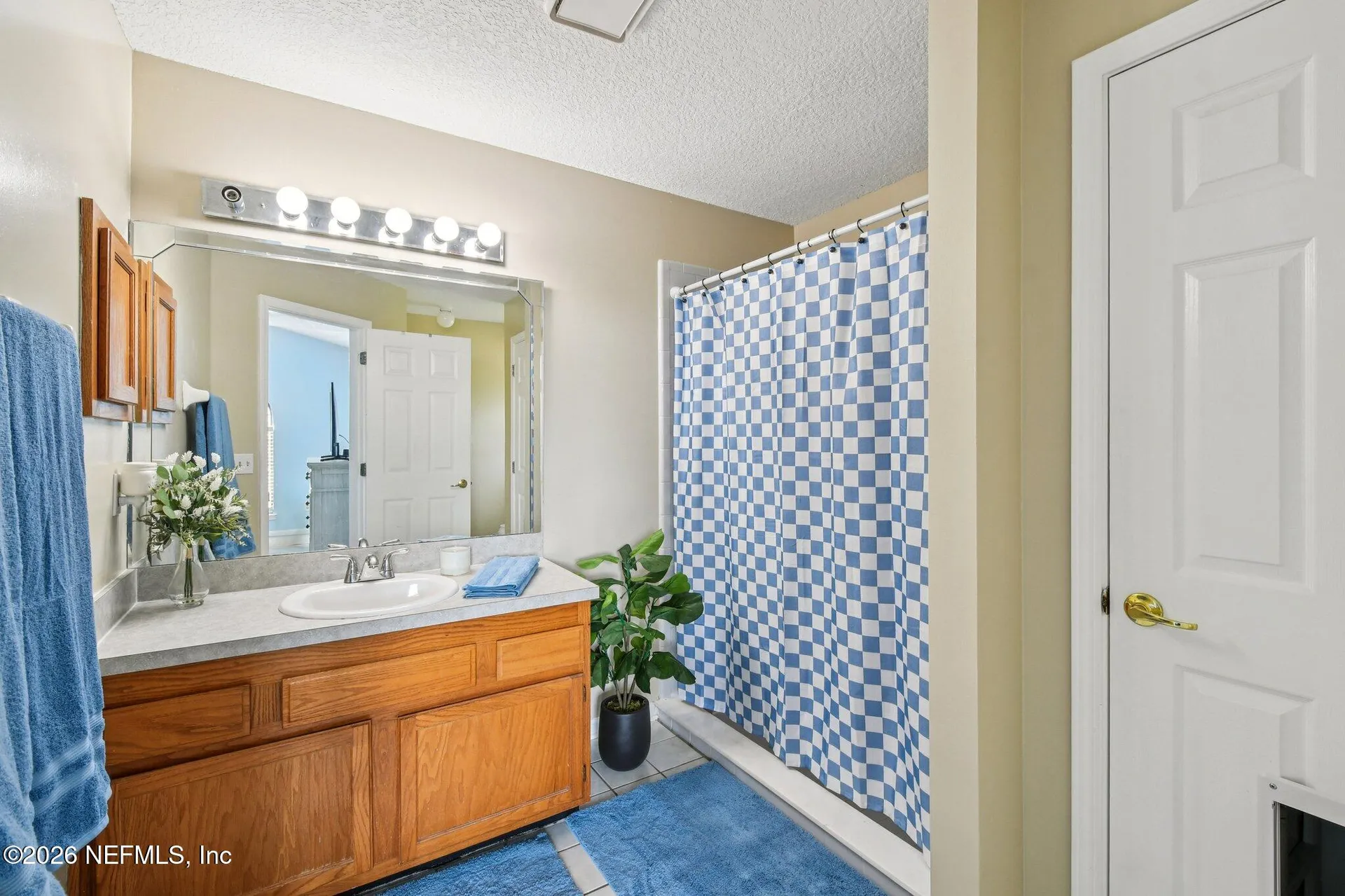 2482 Glow Wood Court Middleburg FL 32068