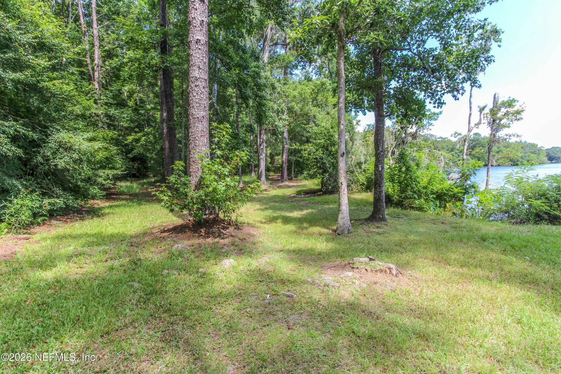 2482 Glow Wood Court Middleburg FL 32068