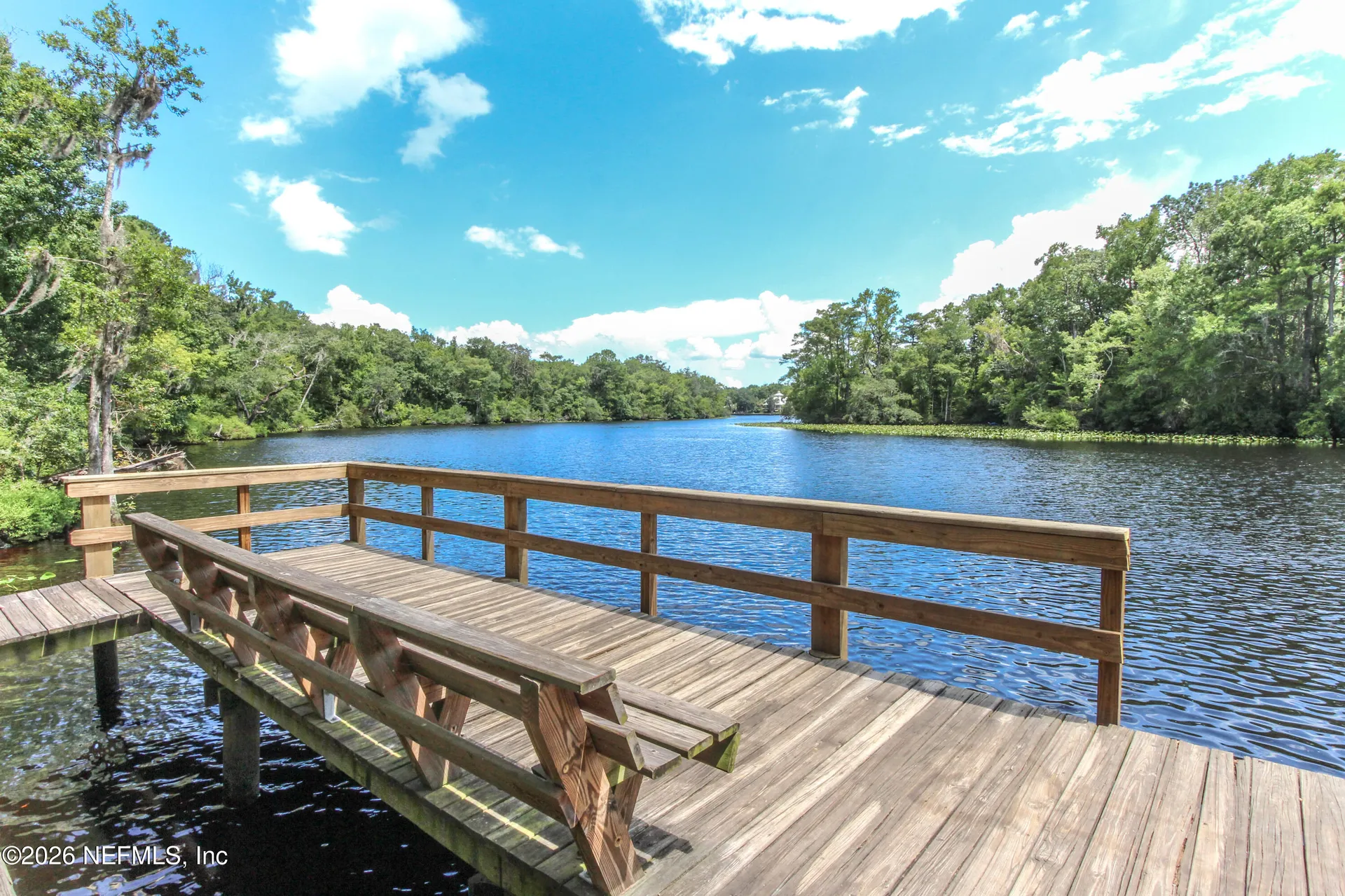 2482 Glow Wood Court Middleburg FL 32068