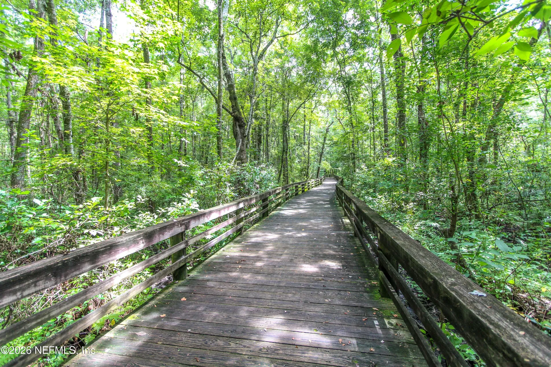 2482 Glow Wood Court Middleburg FL 32068