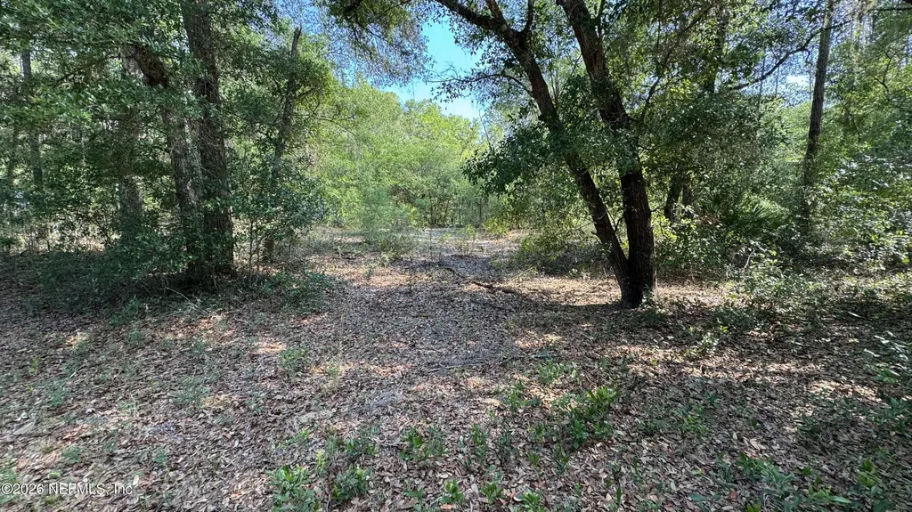 00 Lake Shore Drive Interlachen FL 32148
