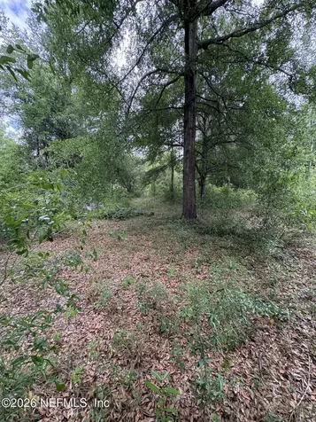 0 45th Drive Lake City FL 32024