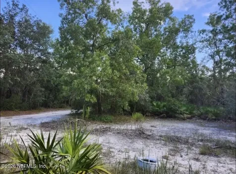 240 Lakeway Drive Georgetown FL 32139