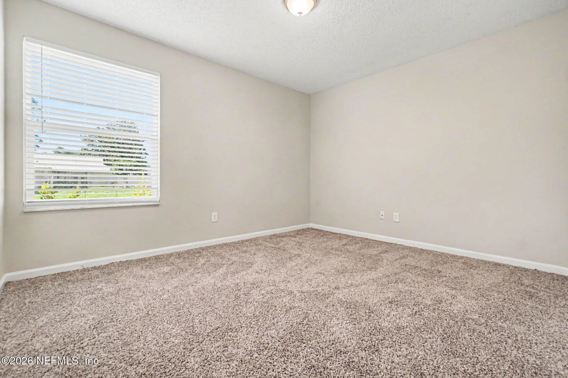11737 Wattle Tree Court Jacksonville FL 32246