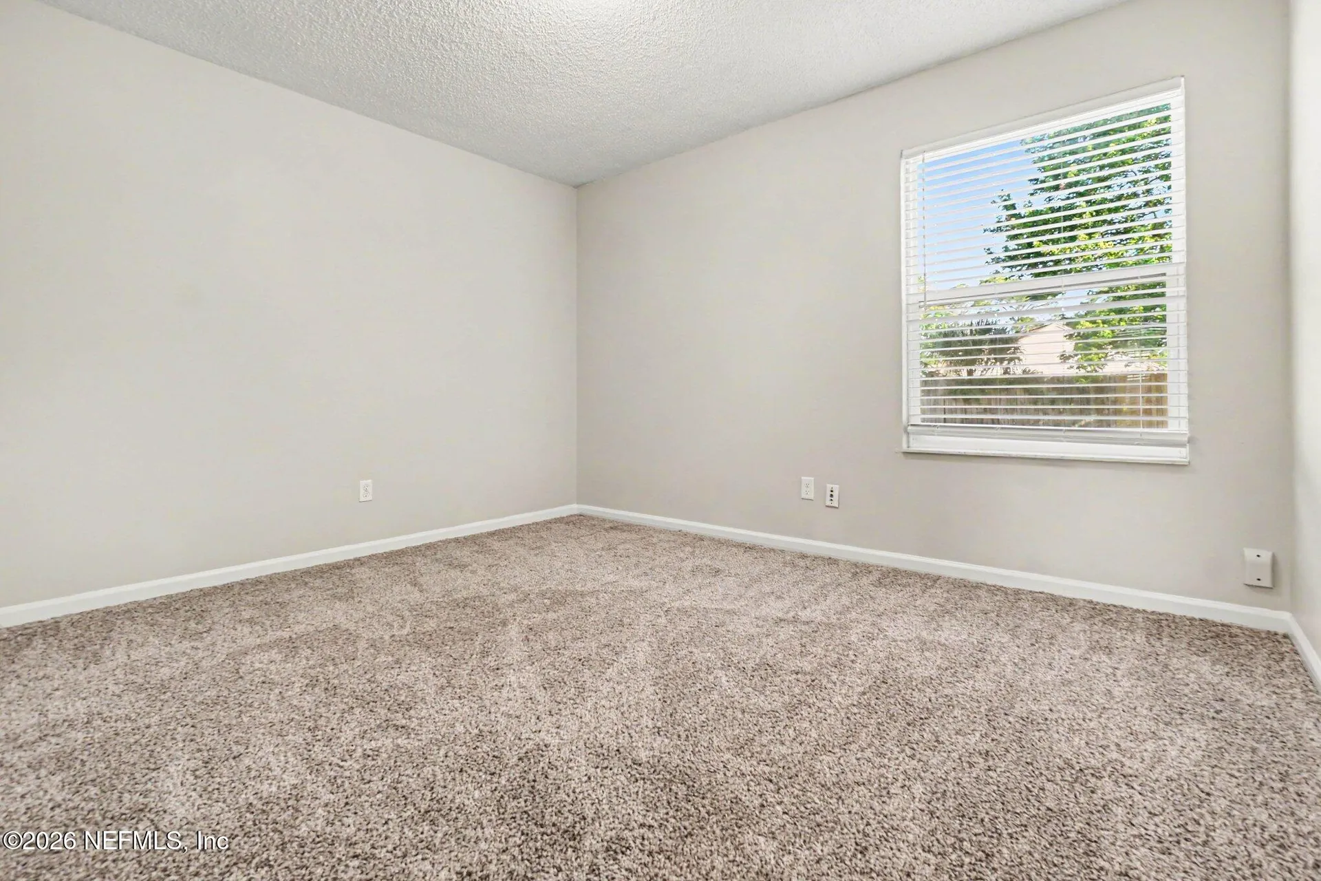 11737 Wattle Tree Court Jacksonville FL 32246