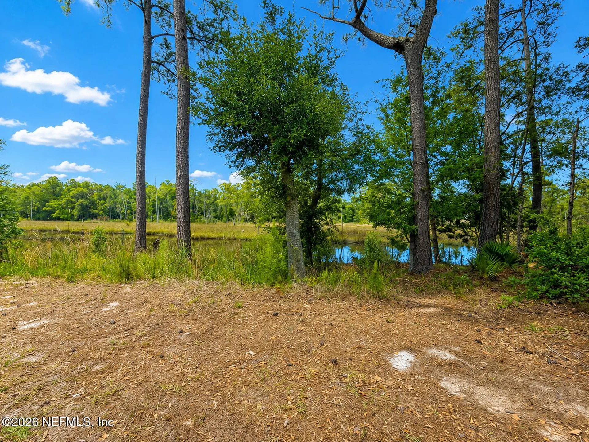 4017 Clearbrook Cove Road Jacksonville FL 32218