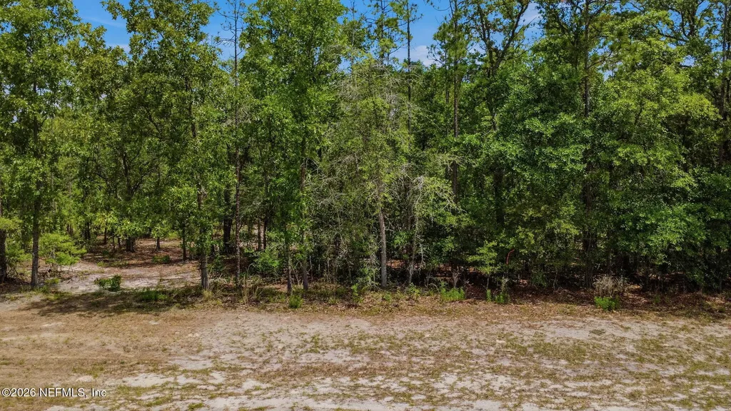 13547 Settindown Drive Bryceville FL 32009