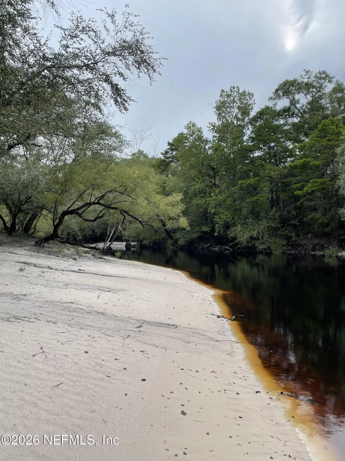13547 Settindown Drive Bryceville FL 32009