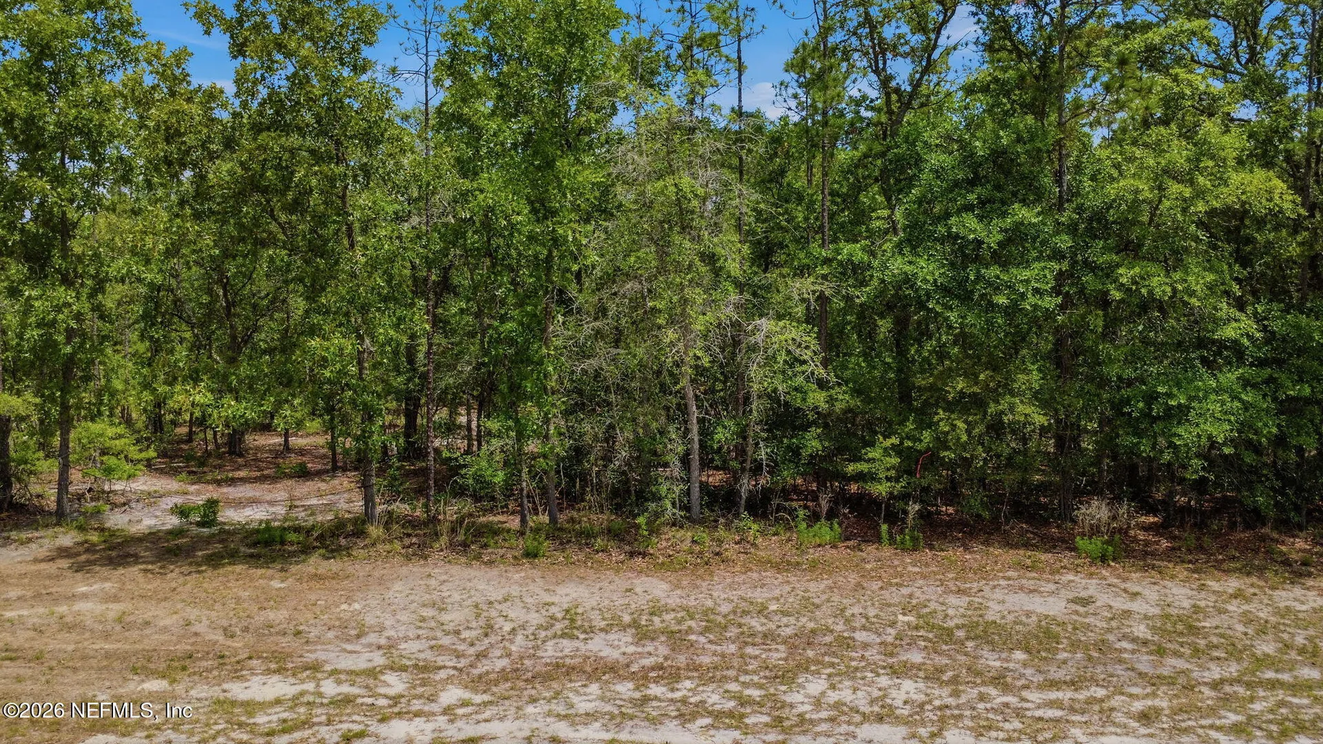 13547 Settindown Drive Bryceville FL 32009