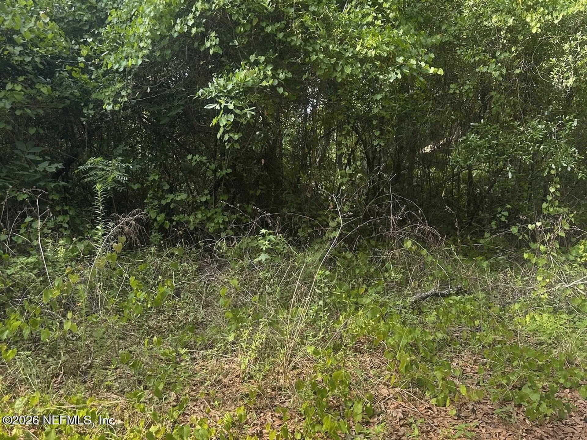 108 Ridgeline Avenue Satsuma FL 32189