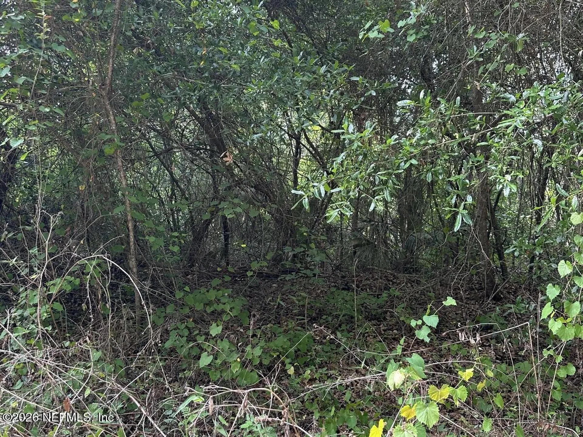108 Ridgeline Avenue Satsuma FL 32189