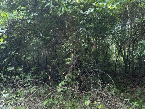 108 Ridgeline Avenue Satsuma FL 32189