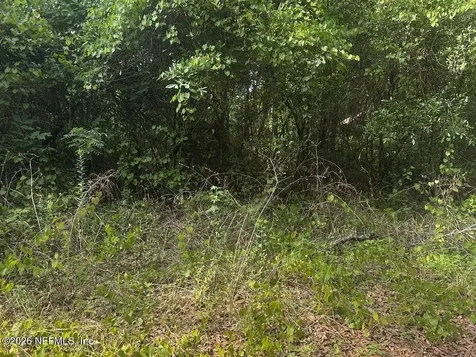 108 Ridgeline Avenue Satsuma FL 32189