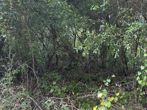 108 Ridgeline Avenue Satsuma FL 32189