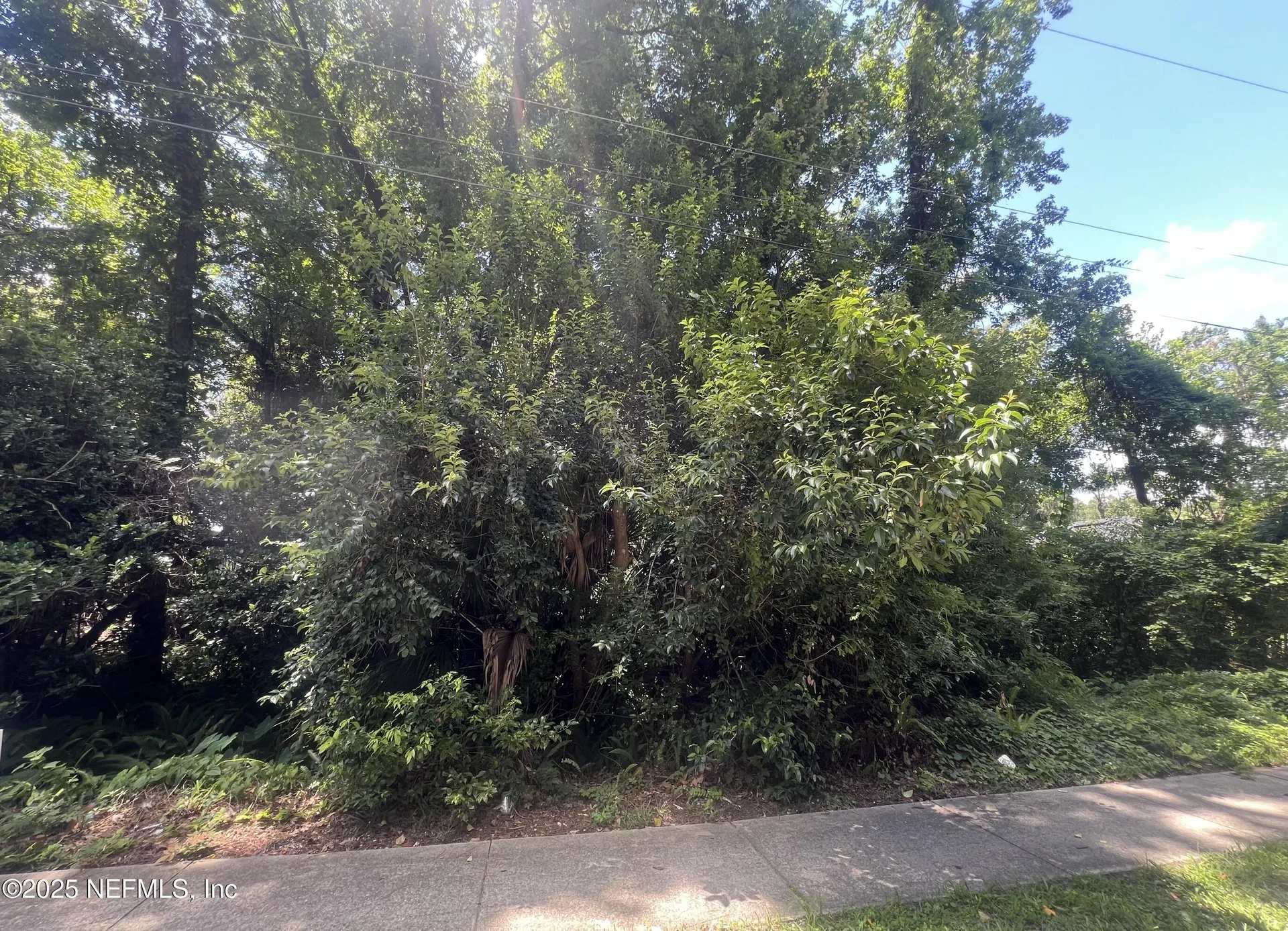 0 Crane Avenue Jacksonville FL 32216