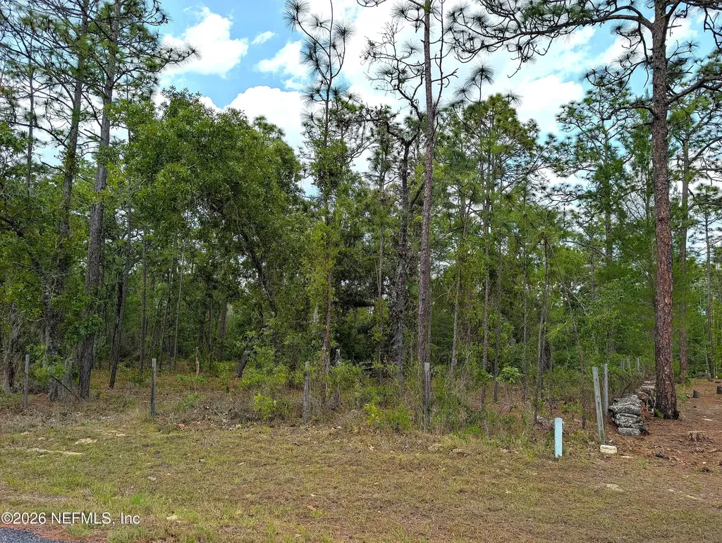 6730 Spanish Moss Drive Keystone Heights FL 32656