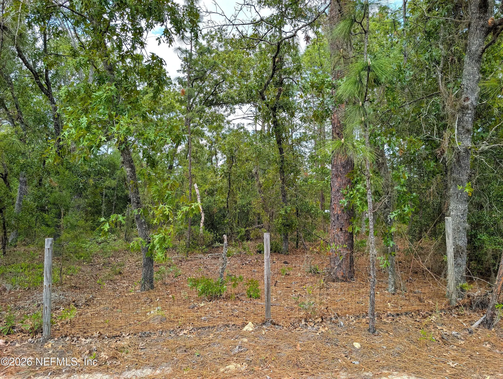 6730 Spanish Moss Drive Keystone Heights FL 32656