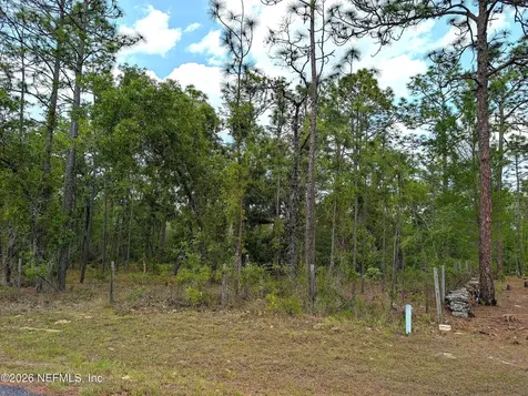 6730 Spanish Moss Drive Keystone Heights FL 32656
