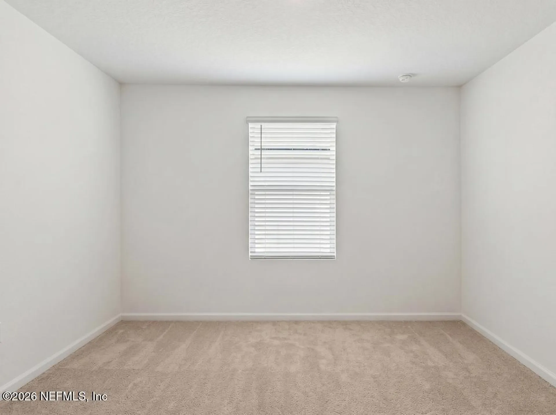 12655 Cucumber Tree Street Jacksonville FL 32218