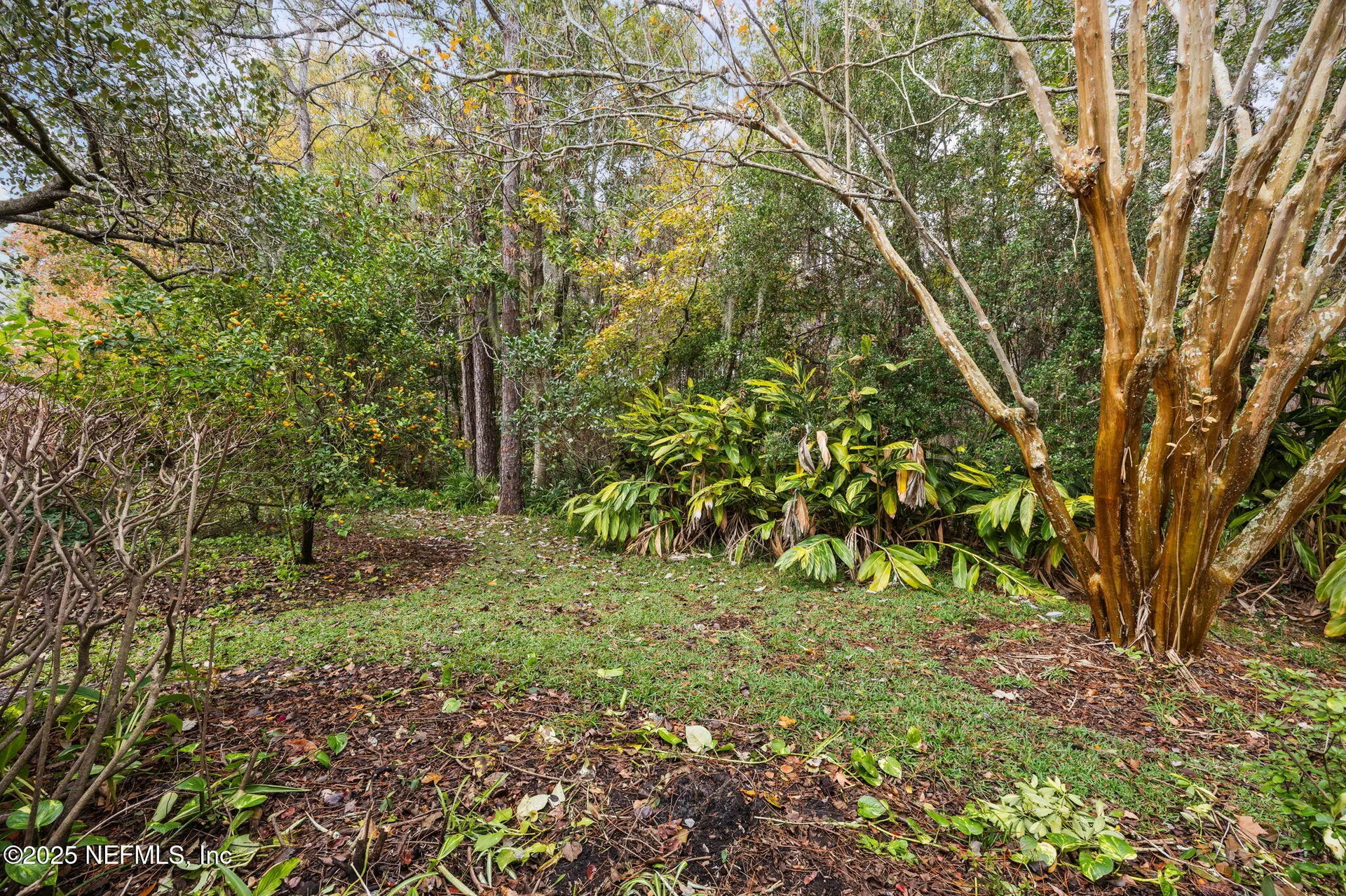 4512 Middleton Park Circle W Jacksonville FL 32224