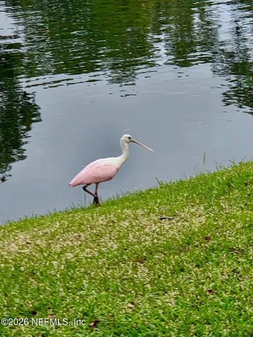 14407 Pelican Bay Court Jacksonville FL 32224