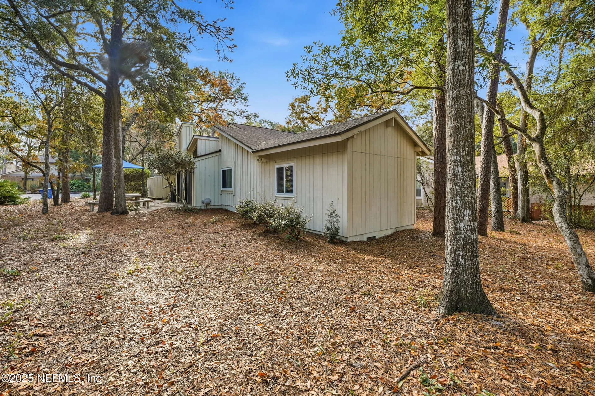 12202 Spiney Ridge Drive S Jacksonville FL 32225