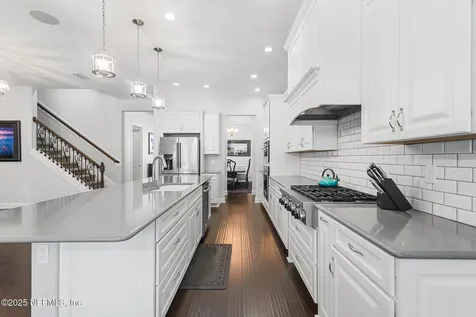217 Bonita Vista Drive Ponte Vedra FL 32081