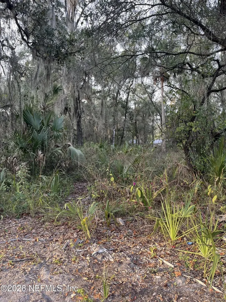1024 Elm Street Welaka FL 32193