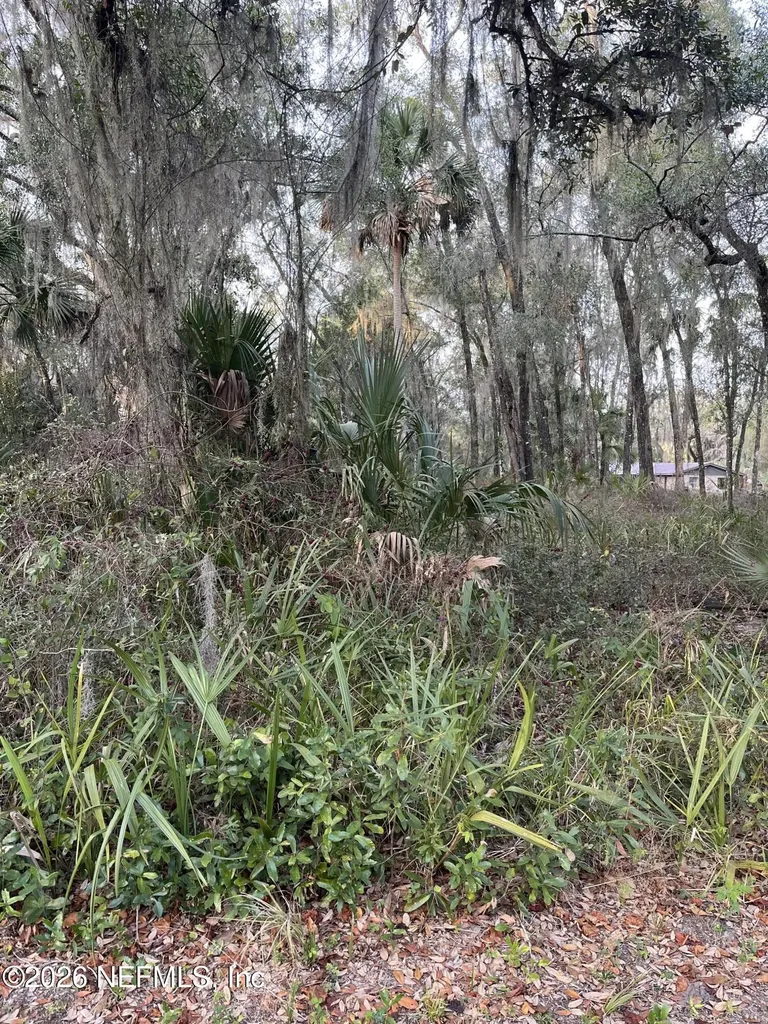 1024 Elm Street Welaka FL 32193