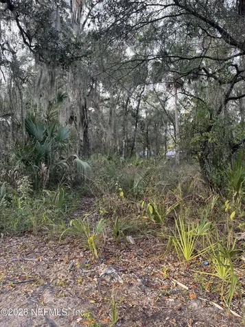 1024 Elm Street Welaka FL 32193