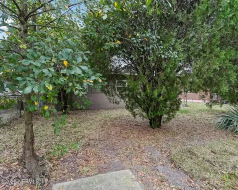 2212 W 12th Street Jacksonville FL 32209