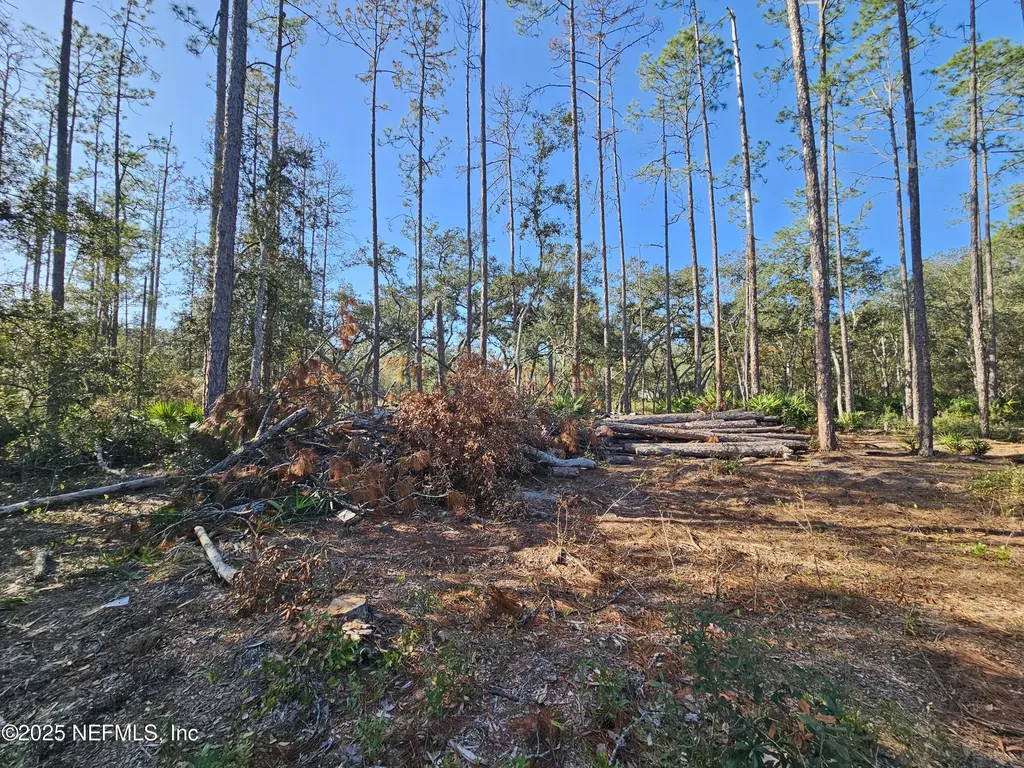 117 Glisson Street Interlachen FL 32148