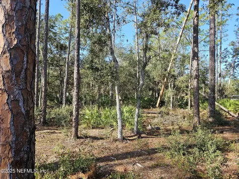 117 Glisson Street Interlachen FL 32148