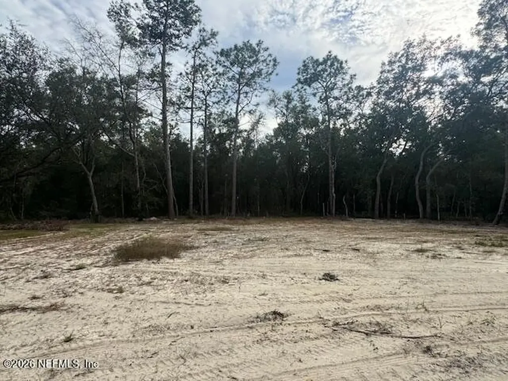 133 Cherry Drive Pomona Park FL 32181