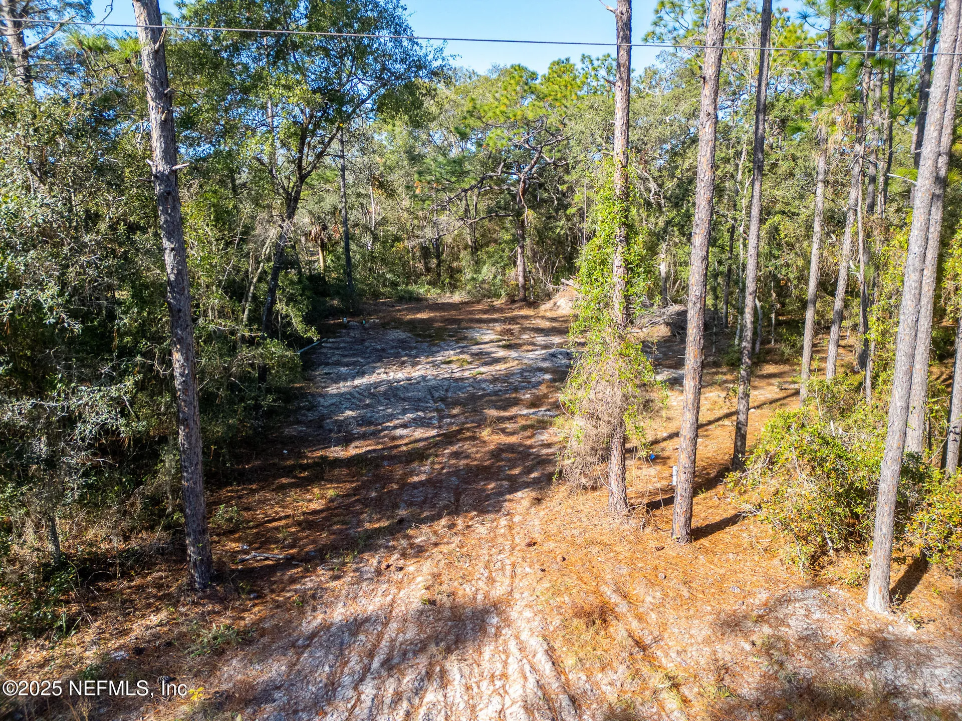 331 Quail Hollow Road Satsuma FL 32189