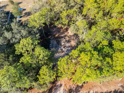331 Quail Hollow Road Satsuma FL 32189