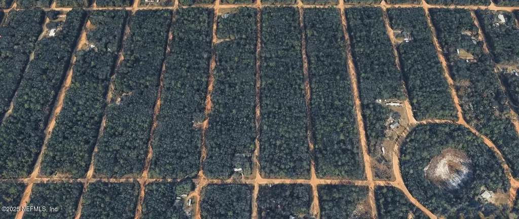 0 Brett Avenue Interlachen FL 32148