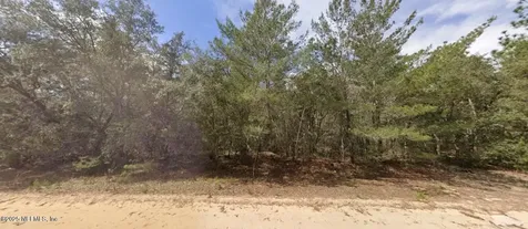 0 Brett Avenue Interlachen FL 32148