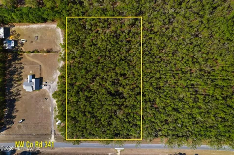 000 NW Cr 341 Bell FL 32626