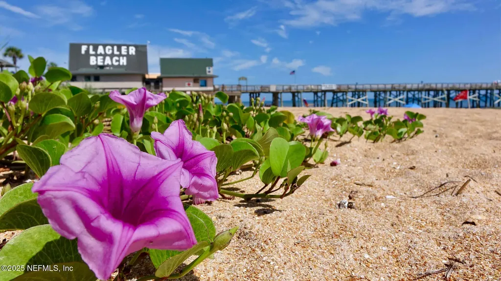 14 Flagstick Lane Bunnell FL 32110